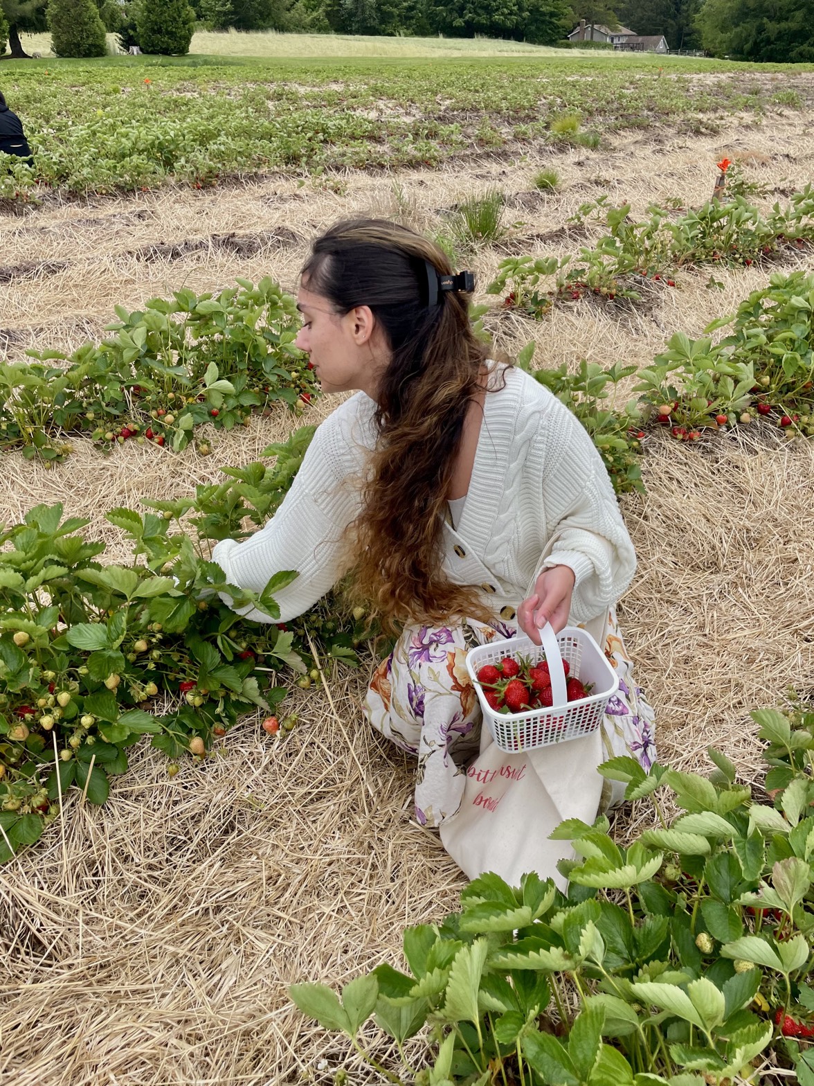 Harvesting fresh ingredients for a Caterlush creator's dish